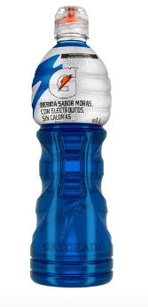 GATORADE SA MORAS 1LT