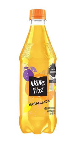 DEL VALLE FIZZ NARANJADA 600ML